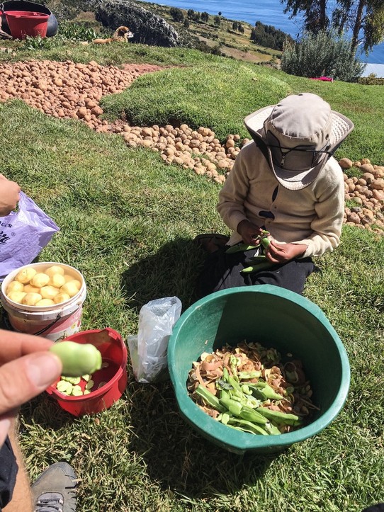 unbekannt - Titicaca-See - Bohnen und Kartoffeln schälen für unser Mittagessen