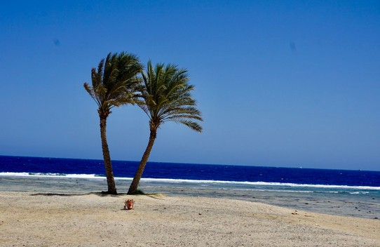 Ägypten -  - Die Bucht ist schön mit einem riesigen Riff.