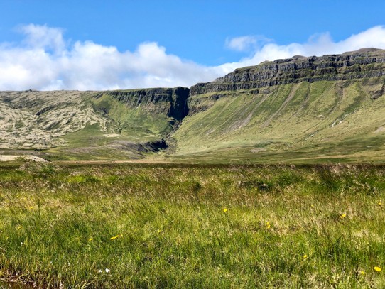Island - Snæfellsbær - Überall diese kombinierten Gräser, Moos und Flechten Landschaften...