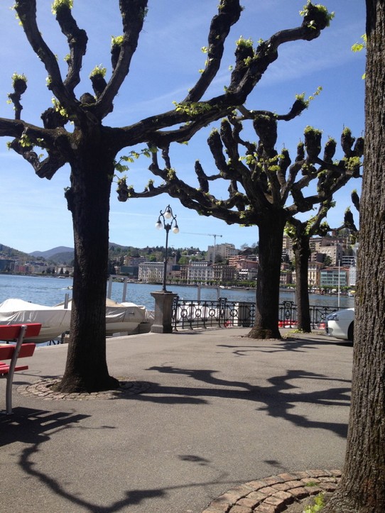 Schweiz - Lugano - Spaziergang am See
