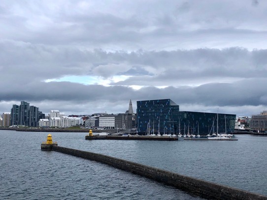 Island - Reykjavík - Hätte nicht gedacht, dass es in Reykjavik solche Hochhäuser gibt... Und von fast überall sieht man die Hallgrimskirkja.