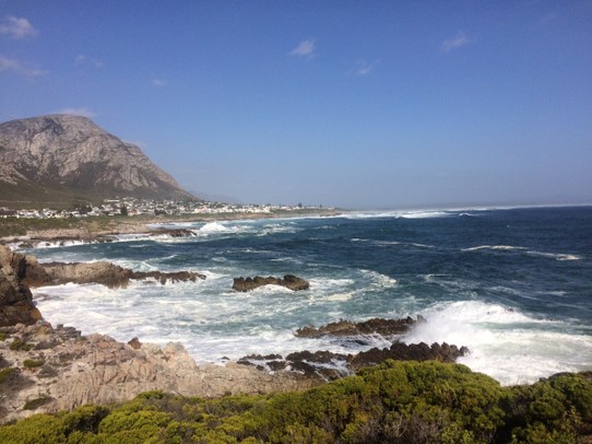 Südafrika - Hermanus - Spaziergang an der Küste 