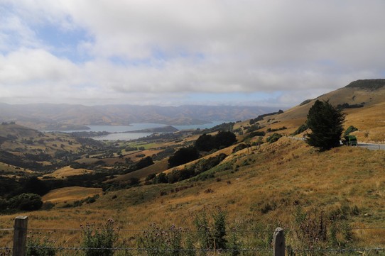Neuseeland - Akaroa - Aussicht vom "Hilltop"
