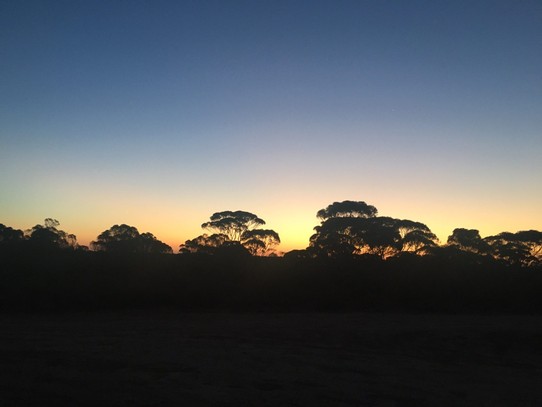 Australien - Norseman - Dämmerung und Sonnenuntergang waren so malerisch schön. 