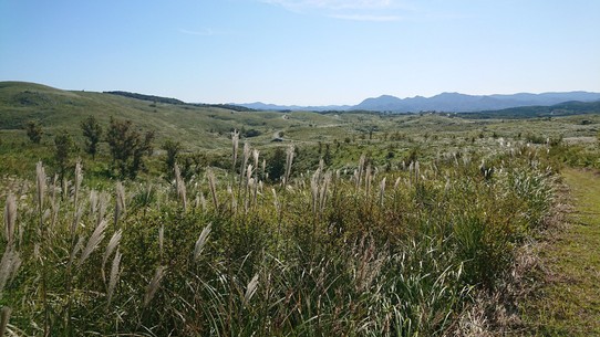Japan - Ube - Die Graslandschaft eignet sich für ausgedehnte Wanderungen. 