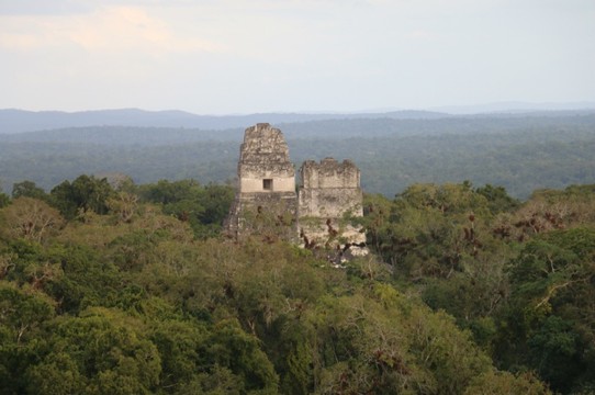 Guatemala - Tikal - Ausblick vom größten Tempel in Tikal - 75 m hoch. Man sieht ihn von fast allen Erhöhungen im gesamten Dschungel.  