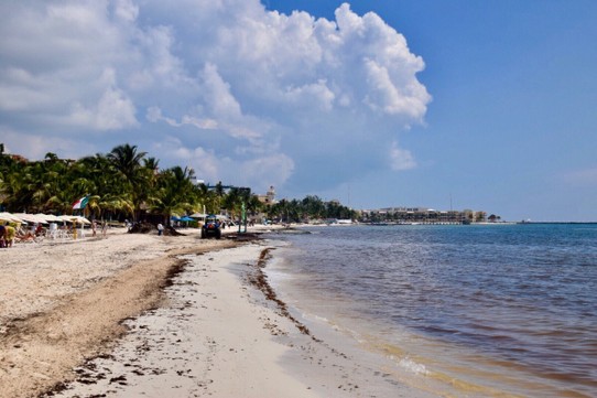 Mexiko - Cancún - Stop in Playa del Carmen, voll die Touristadt, und viel Algen am Strand, nach einer kurzen Erfrischung im Meer geht es weiter.