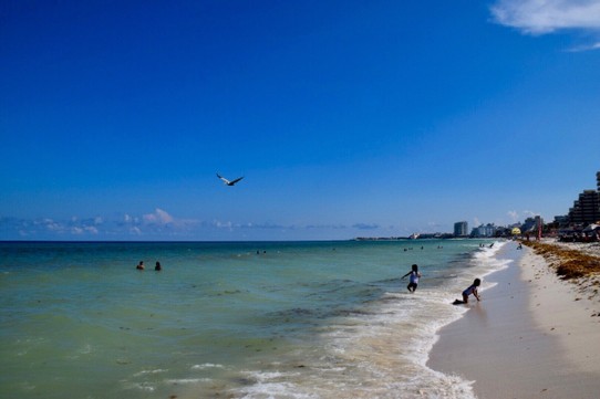 Mexiko - Cancún - Schnell noch baden am Dolphin Strand und dann muss Anna auch schon zum Flughafen.