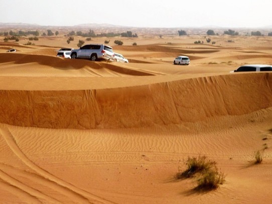 Vereinigte Arabische Emirate -  - Rückenfreundliche Dünensafari