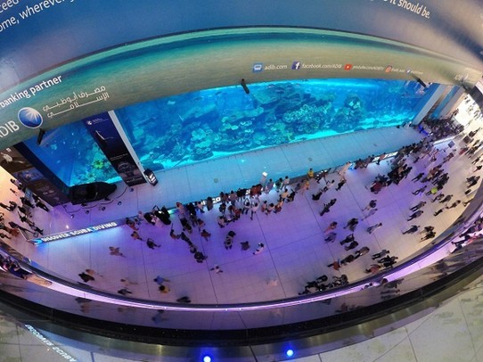 Vereinigte Arabische Emirate - Dubai - Aquarium im Dubai Mall 