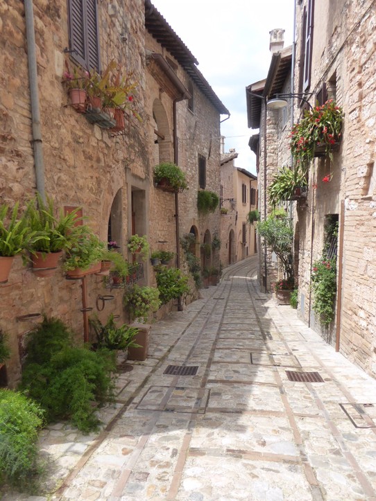 Italien - Perugia - Blumen sind hier sehr beliebt 