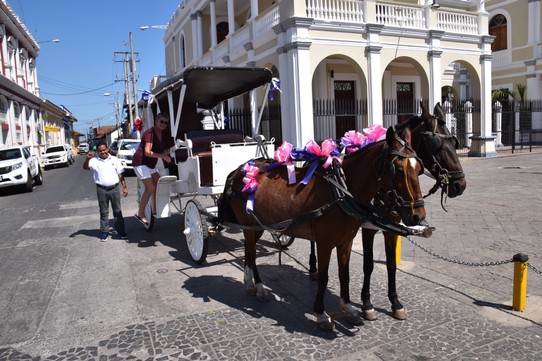 Nicaragua - Granada - Bei der Hitze haben wir uns erst mal eine Transportmöglichkeit gesucht.