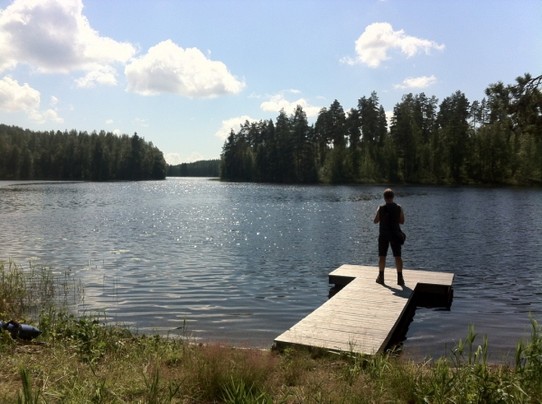 Finland - Puumala - Wanderung: Bäume, See, Steg,...