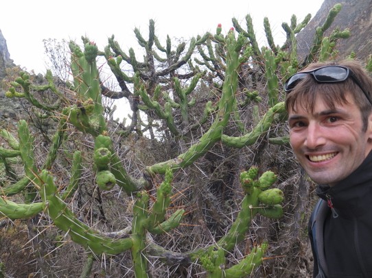 Peru - Áncash - Selfie cactus, oui ils poussent à plus de 3000m !