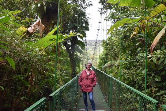 Costa Rica - Abangares - Hier gibt es auch einige Hängebrücken durch den Nebelwald, aber heute war es eher Regenwald denn das Wetter war mehr danach.