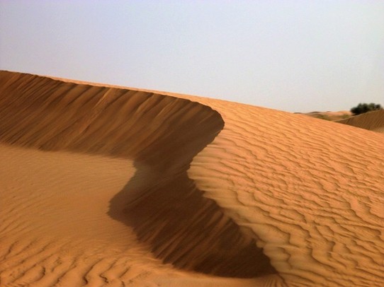 Vereinigte Arabische Emirate -  - Die ersten kleinen Dünen werden sichtbar 