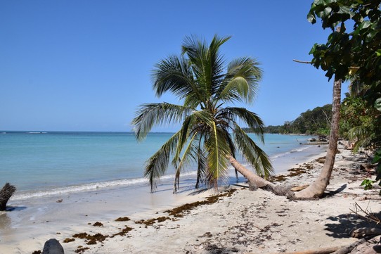 Costa Rica - Talamanca - Wieder ein neuer schöner Tag an der Karibikküste. 35 Grad können ganz schön anstrengend sein :-)....