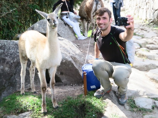 Peru - Machu Picchu - Selfie lama