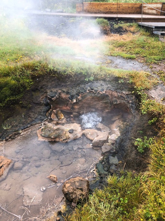 Island - Bláskógabyggð - Das finde ich auch mega cool... da kommt kochendes Wasser aus dem Boden! Ich hab mich beim wandern gewundert, weil man das Blubbern gehört hat und ich erst nicht wusste, wo das Geräusch herkommt.