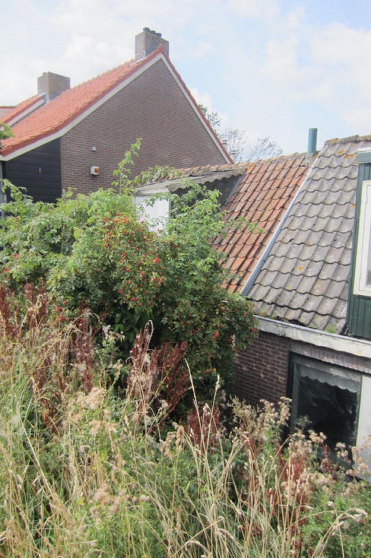 Niederlande - Volendam - 