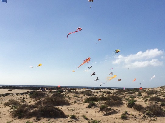 Spain - La Oliva - Kites