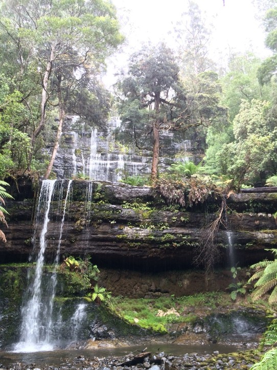 Australien - Mount Field National Park - Russell Falls, eine Attraktion des Mt Field Nationalpark