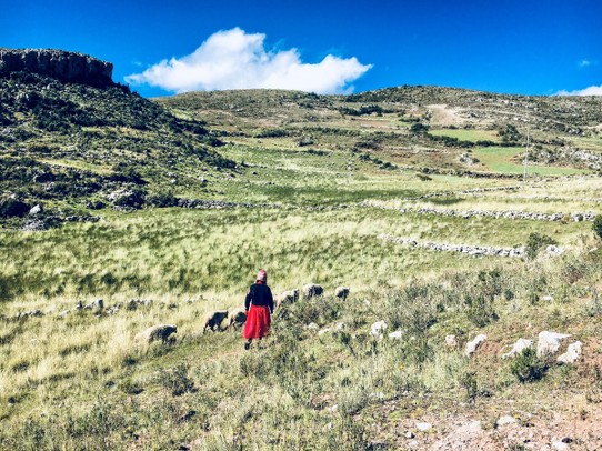 unbekannt - Titicaca-See - 
