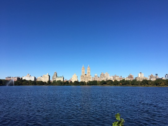 United States - New York - Unser Fahrradtag im Central Park