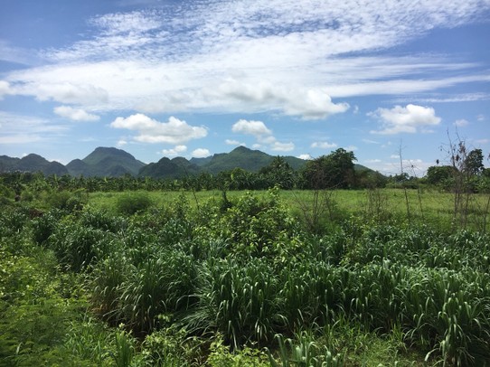 Thailand - Kanchanaburi - Wunderbare Landschaft mit Reis-, Tapioka-, Zuckerrohr- und Papaya-Feldern