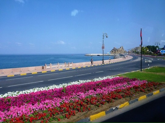 Oman - Maskat - Corniche (Küstenstrasse) mit schön angelegten Grünflächen und Blumen 
