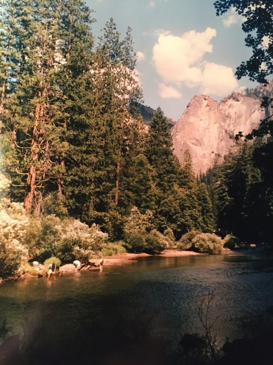 USA - Yosemite-Nationalpark - Im Goldrausch :)