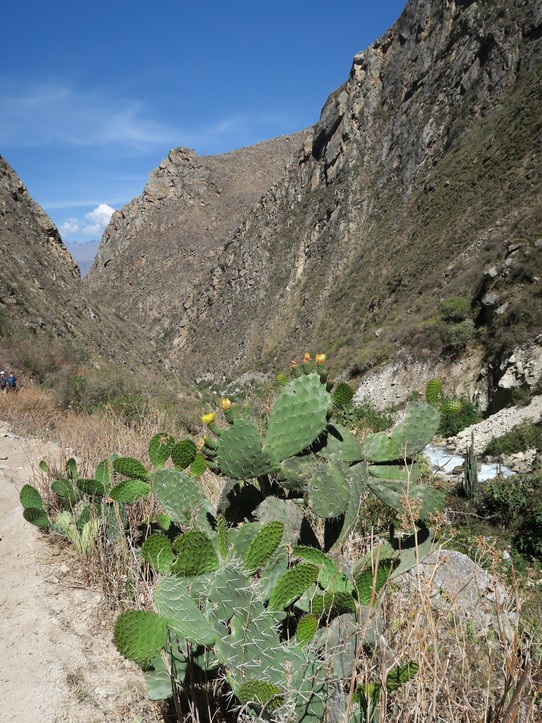 Peru - Áncash - Retour dans la vallée