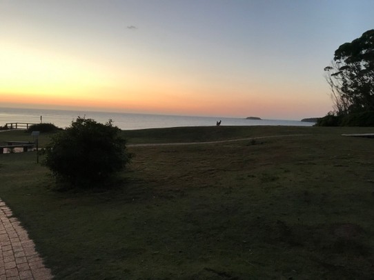 Australien -  - Die Kängurus und ich warten auf den Sonnenaufgang