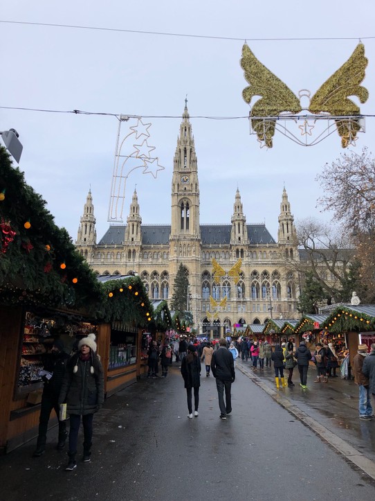 Österreich - Wien - Das Rathaus von vorne - noch mit Weihnachtsmarkt