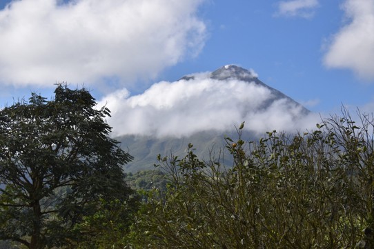 Costa Rica - Tilarán - Gleich nach dem Aufstehen sahen wir die Spitze des Vulkans. Da kein Rauch Aufstieg konnten wir ja beruhigt mit unserer Planung fortfahren.