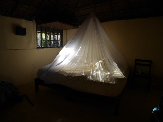 Mexico - Tulum - Bèrke slapend in onze kleine cabaña
