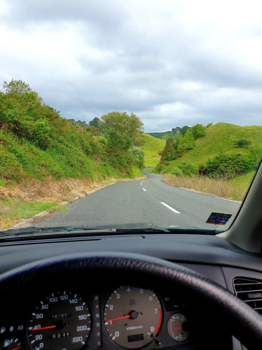 Neuseeland - Rotorua - Die Aussicht beim Autofahren...