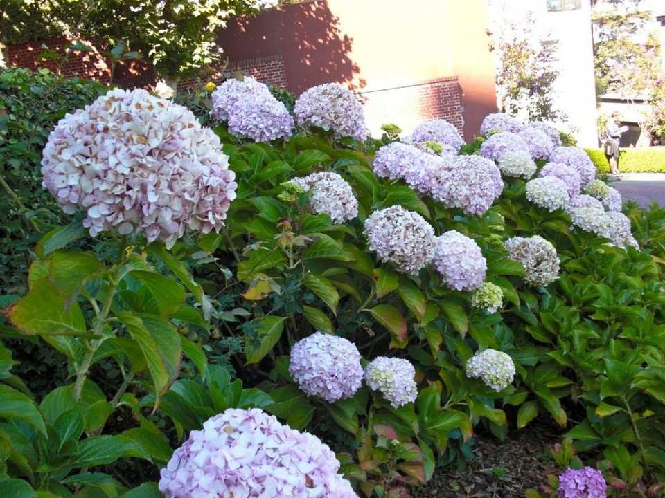 United States - San Francisco - 