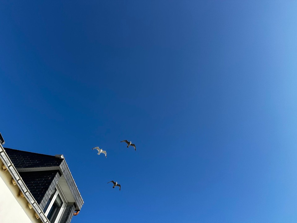 Frankreich - Quiberon - 