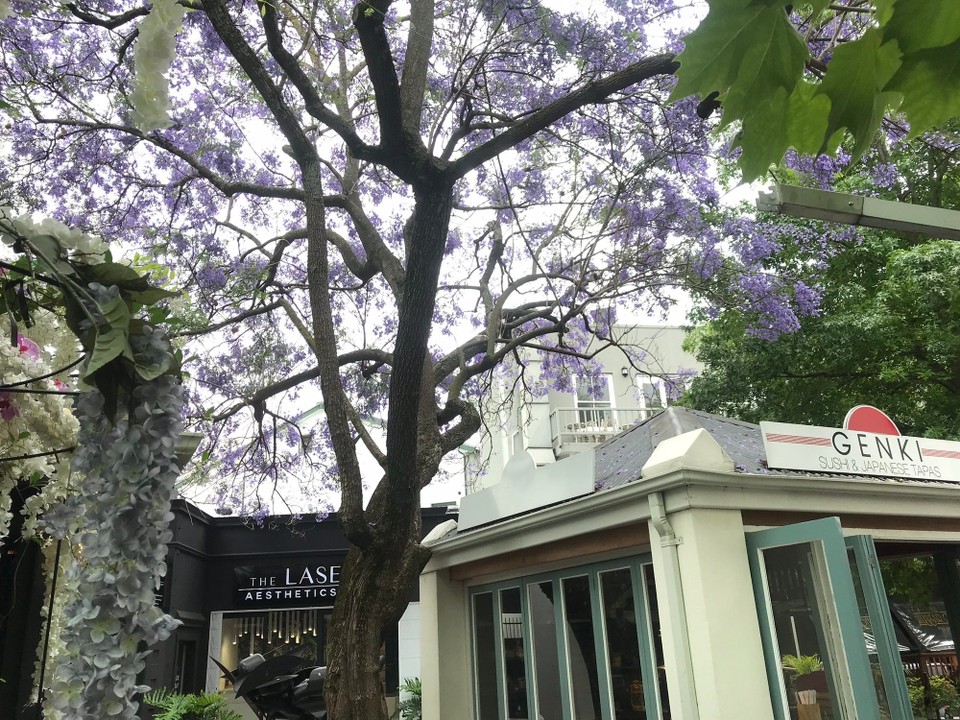 Südafrika - Stellenbosch - 