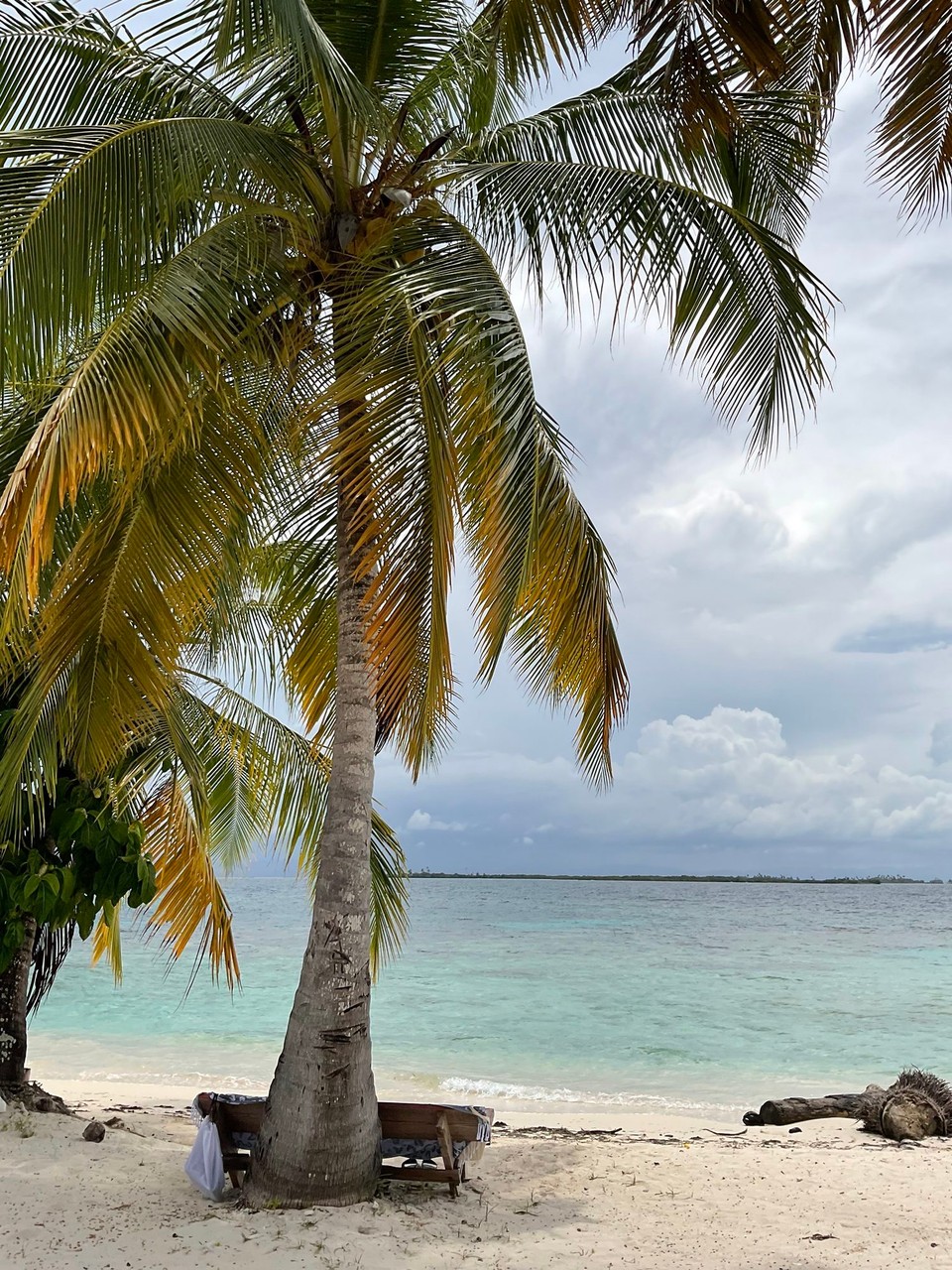 Panama -  - Impressionen der Insel (1/9):
Unser Platz zum Lesen, Quatschen, Entspannen und nichts tun 📖 