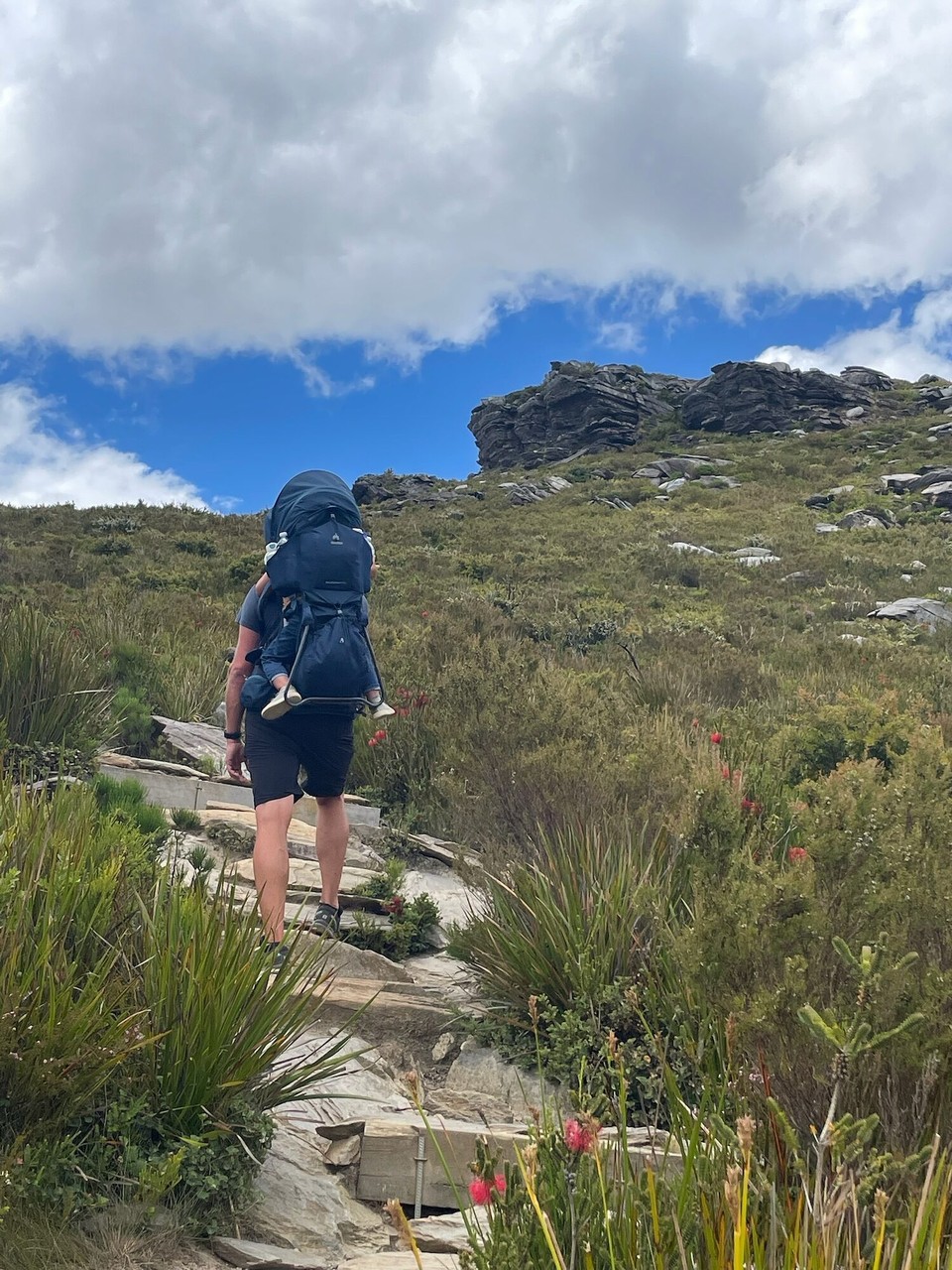 Australien - Stirling Range National Park - Mit über 600 Höhenmetern, die unter anderem mittels mehr als 1000 Treppenstufen überwunden werden.