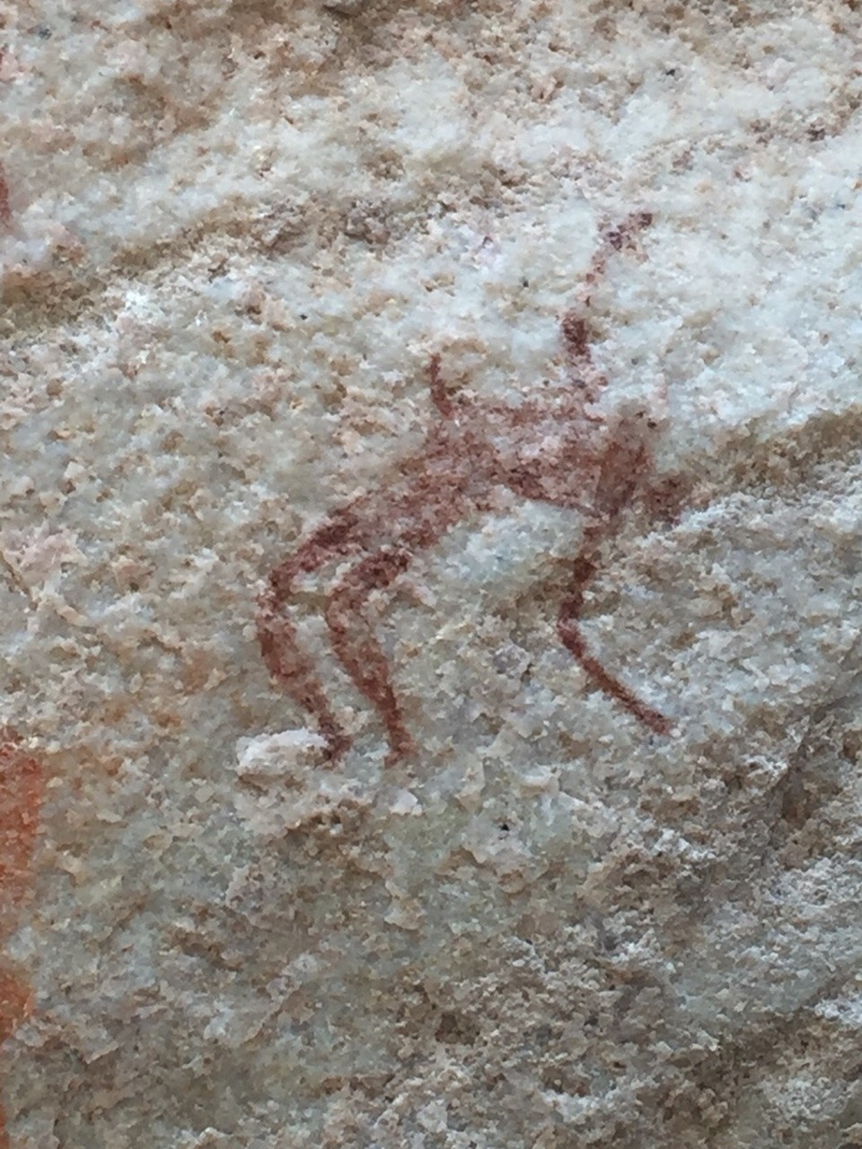 Südafrika - Clanwilliam - Fundstelle 5