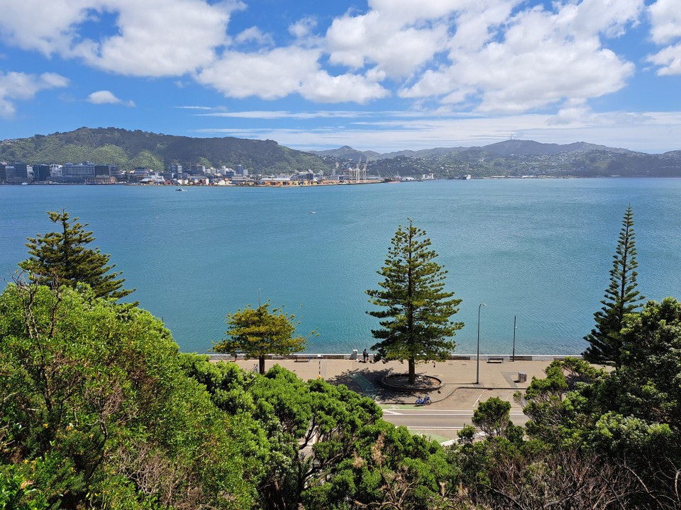 Neuseeland - Princess Beach - Der Trail führte um Wellington rum 