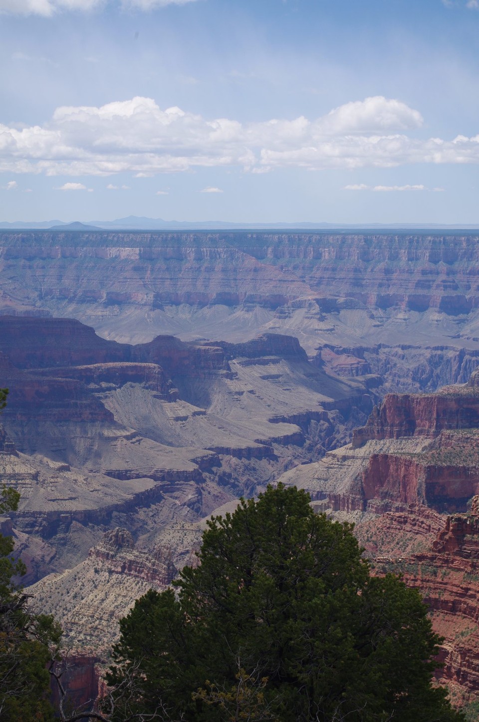 USA - Grand-Canyon-Nationalpark - 