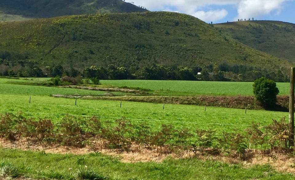 Südafrika - Nature's Valley - 