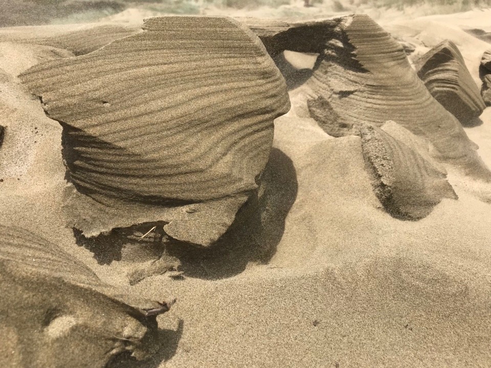 Neuseeland -  - Sandformationen