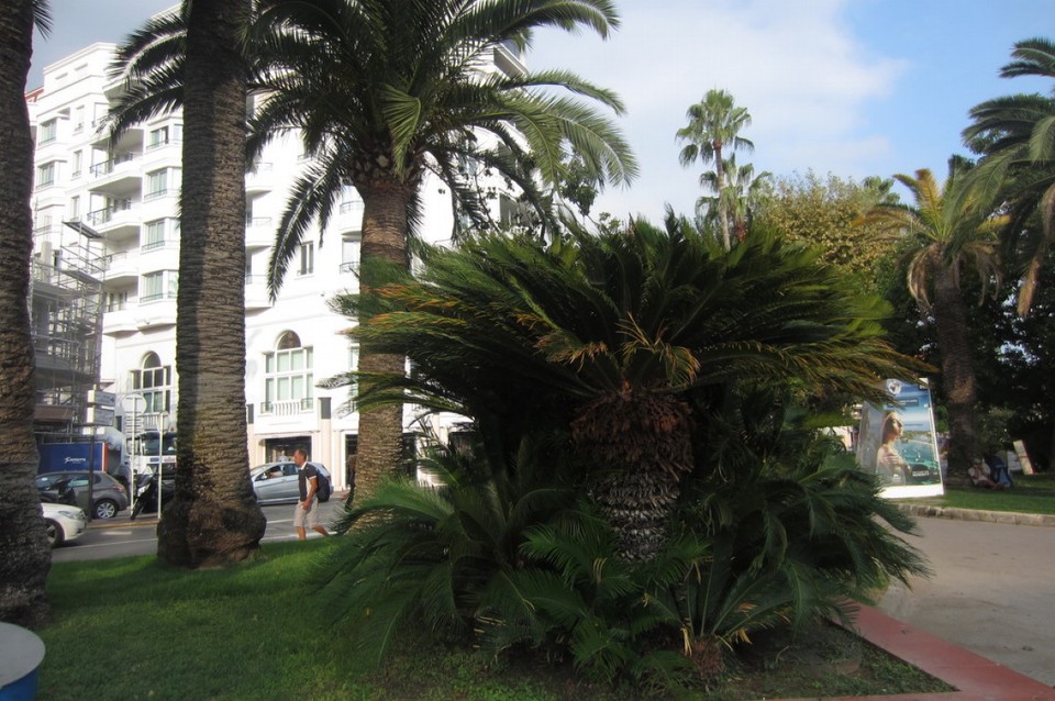 Frankreich - Cannes - 