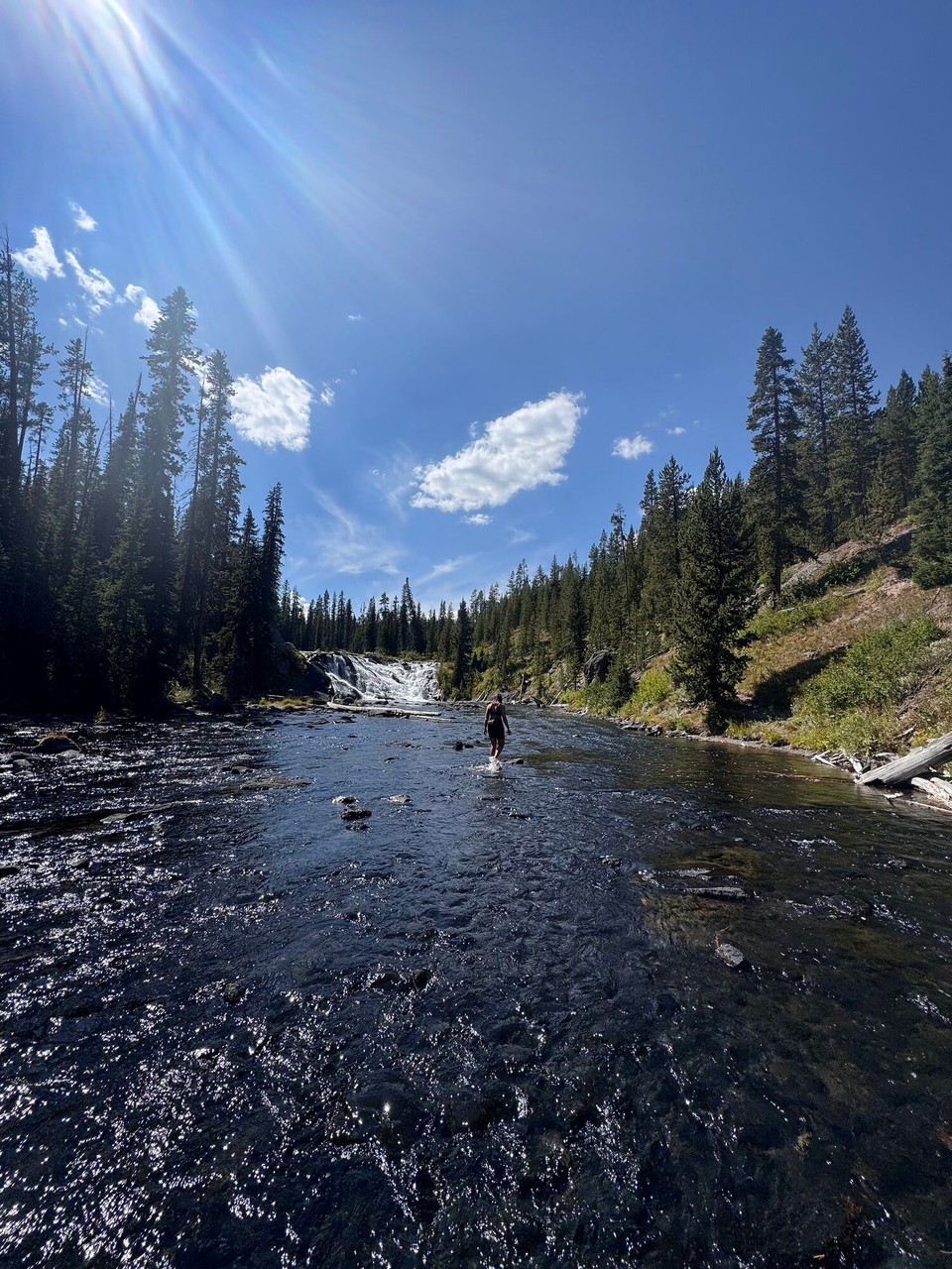 Vereinigte Staaten - Yellowstone National Park - Nachher hemmer no chorzi Flusswanderig zu de Lewis Falls gmacht. Die sind au sehr Ihdrücklich gsi.☺️