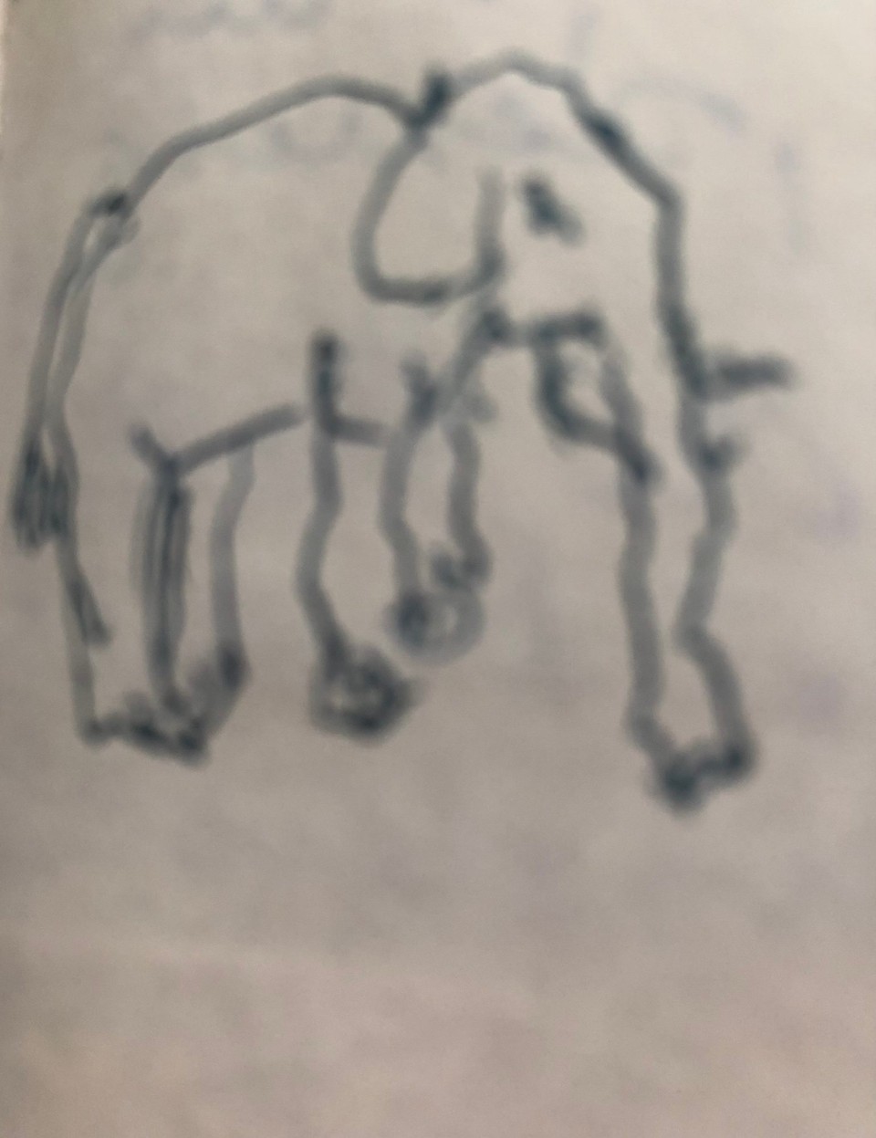 Deutschland - Ludwigshafen - Elefant überquert die Straße , kümmert sich nicht um den Bus. 